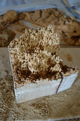 DSC06051